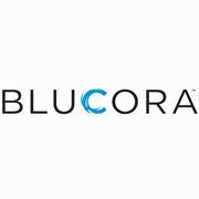 Thieler Law Corp Announces Investigation of Blucora Inc